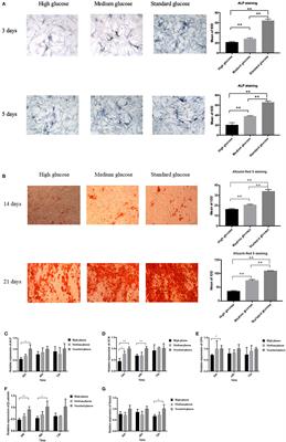 Sema3a as a Novel Therapeutic Option for High Glucose-Suppressed Osteogenic Differentiation in Diabetic Osteopathy